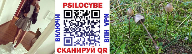 Псилоцибиновые грибы прущие грибы  Красноярск 