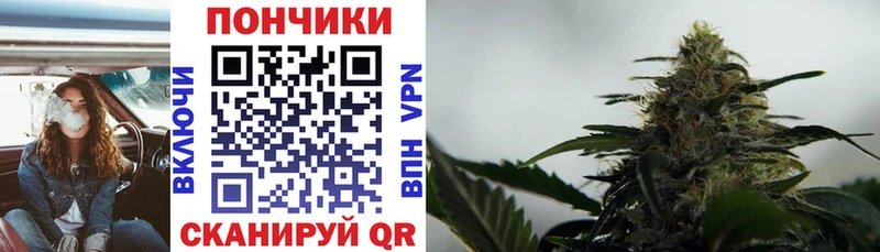 Бошки марихуана ГИДРОПОН  Красноярск 